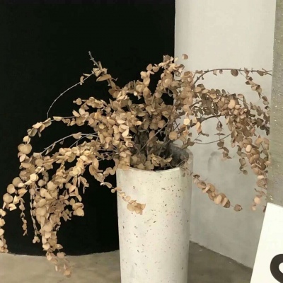 Furry绘画光影技巧Furry群